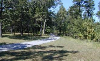 Camping near Old Orchard Park Campground: Rollways Campground, Hale, Michigan