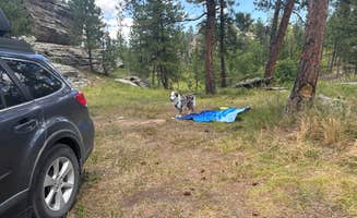 Jennie B.'s photo of camping with pets at RD 356 Dispersed Site Black Hills National Forest near Black Hills National Forest