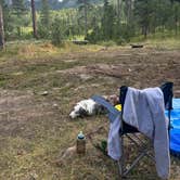 Review photo of RD 356 Dispersed Site Black Hills National Forest by Jennie B., July 8, 2024