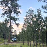 Review photo of RD 356 Dispersed Site Black Hills National Forest by Jennie B., July 8, 2024