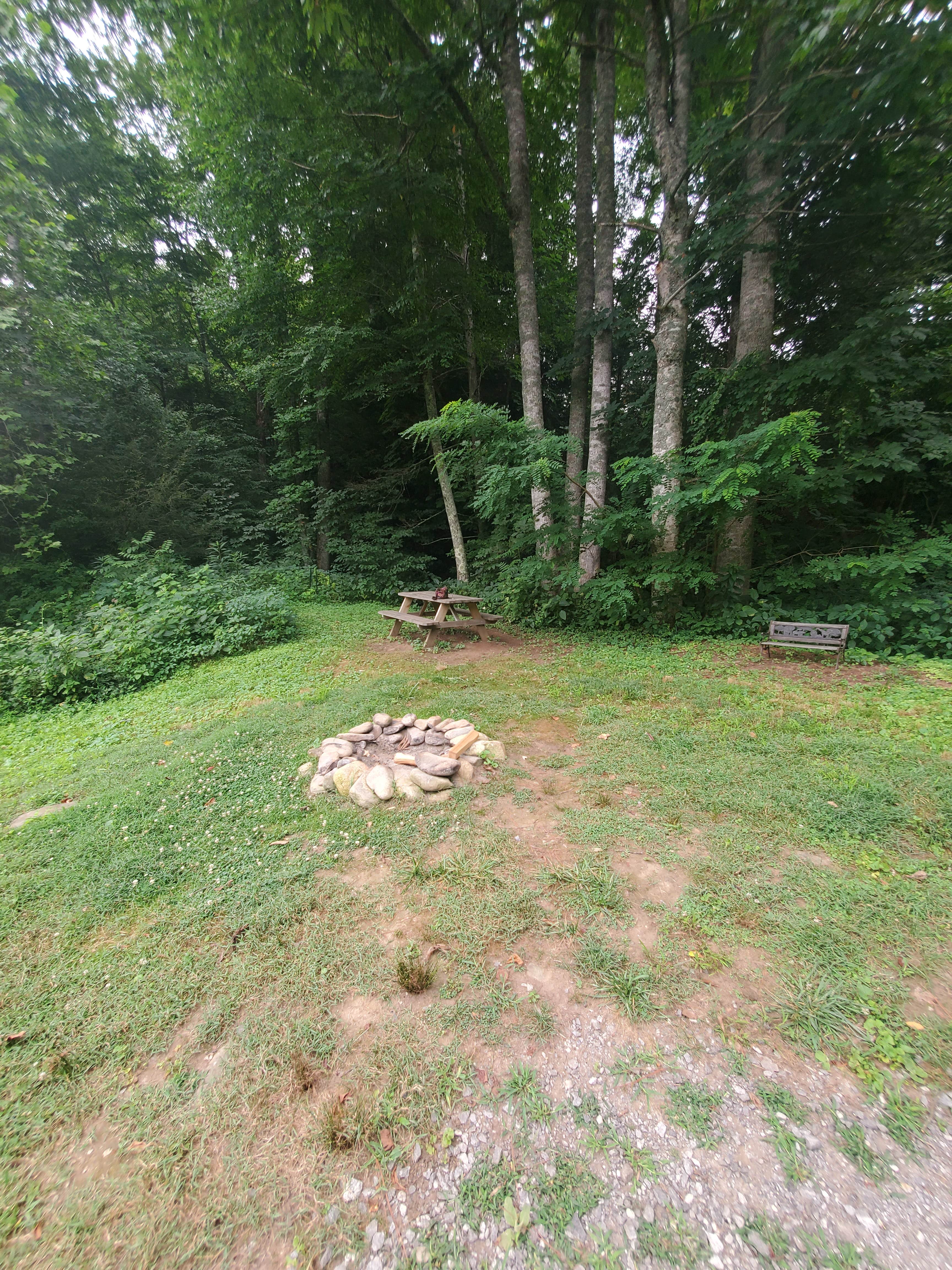 Camper submitted image from Pondside Single - 4