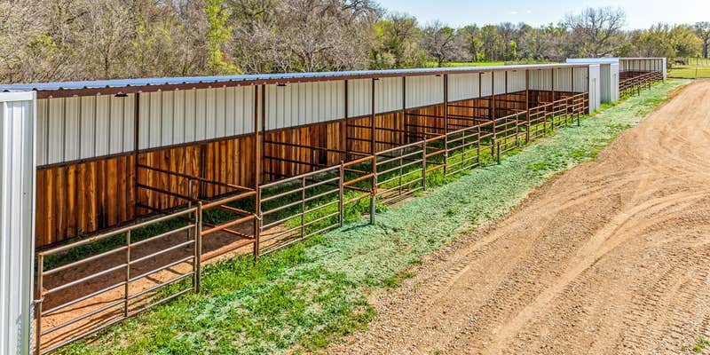 Camper submitted image from Lipan Bunk and Board