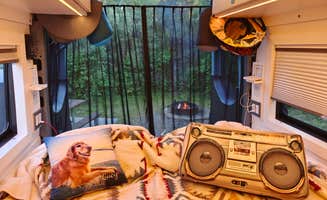 Joshua C.'s photo of camping with pets at Missouri Headwaters State Park Campground near Gallatin National Forest