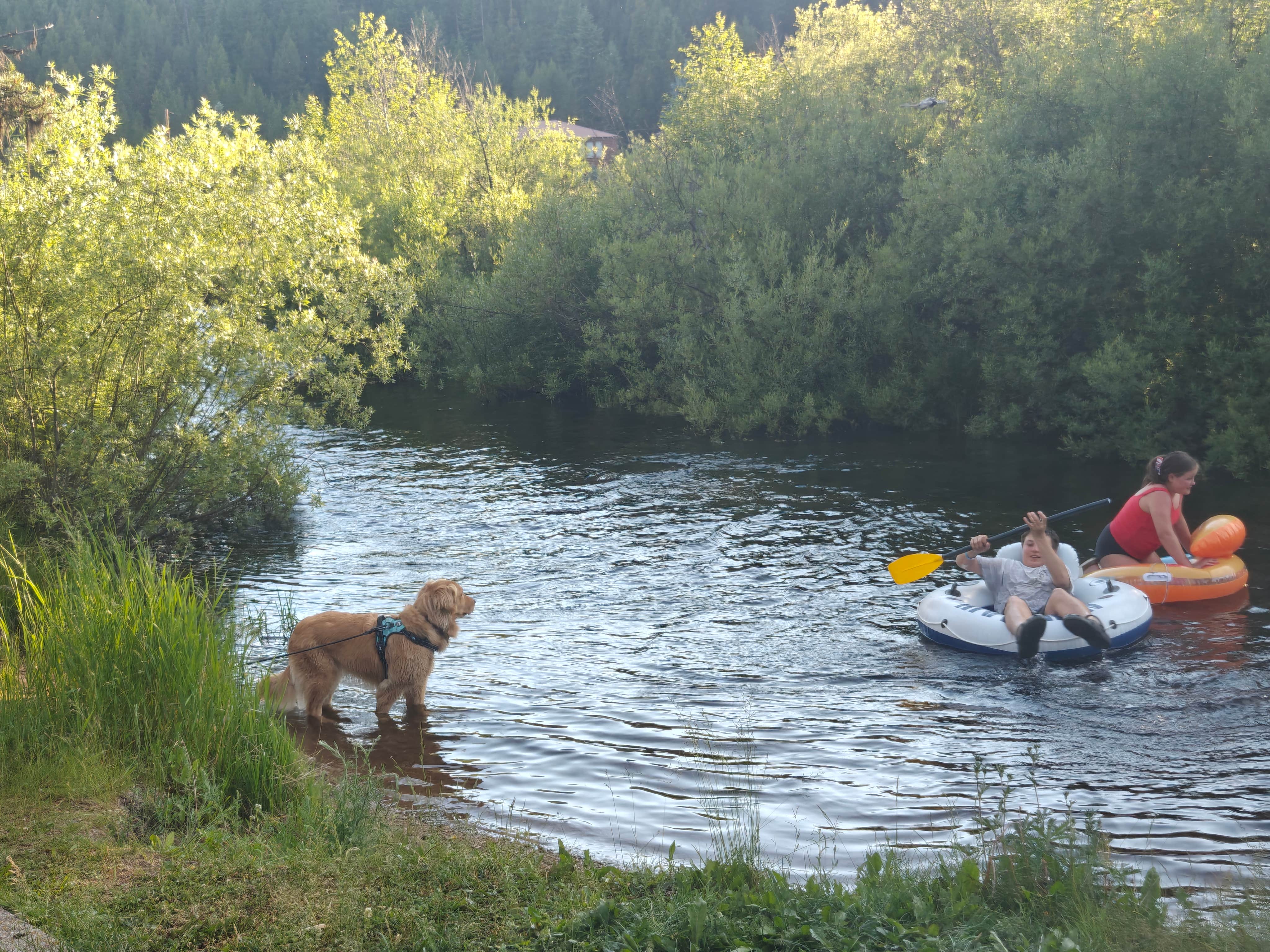 Camper submitted image from Lolo Hot Springs RV Park & Campground - 2