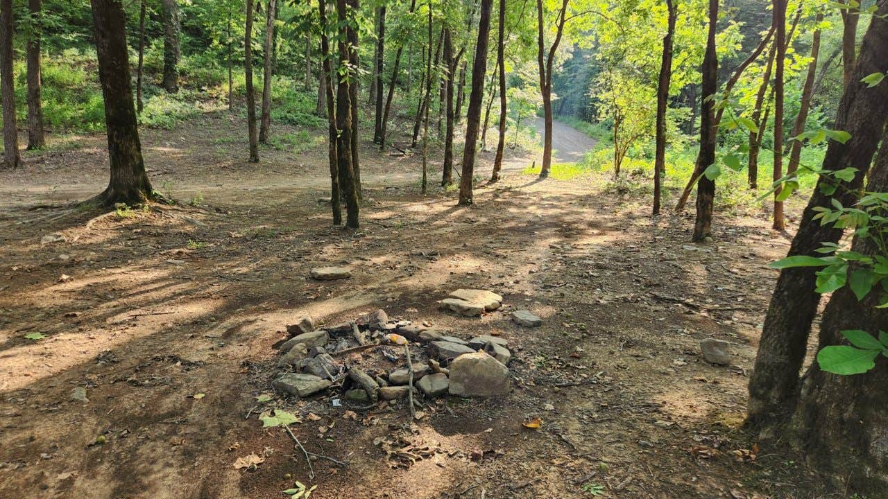 Camper submitted image from Charleston - Bell Roads Dispersed, Brock Creek Lake, Ozark NF, AR - 4