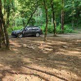 Review photo of Charleston - Bell Roads Dispersed, Brock Creek Lake, Ozark NF, AR by Fred S., July 8, 2024