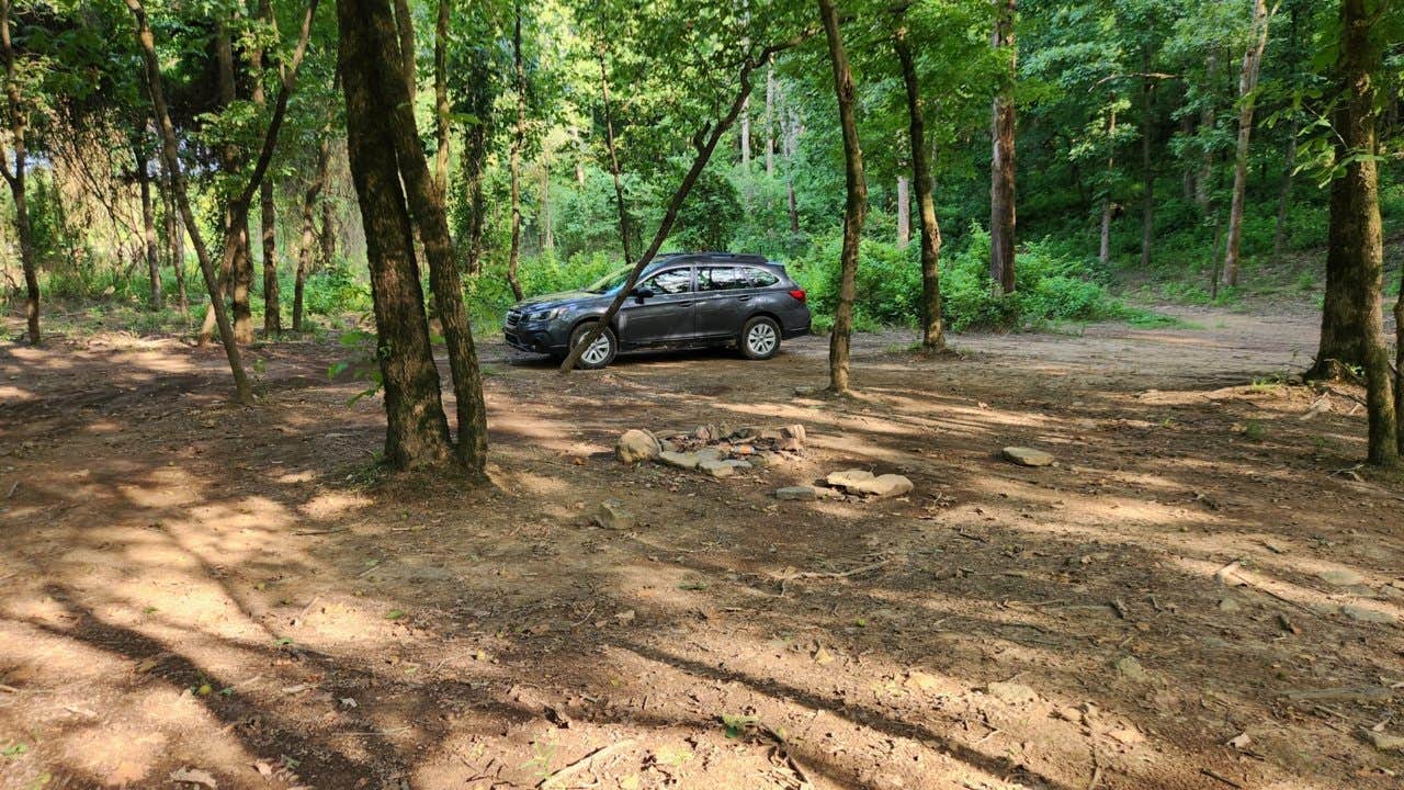 Camper submitted image from Charleston - Bell Roads Dispersed, Brock Creek Lake, Ozark NF, AR - 3