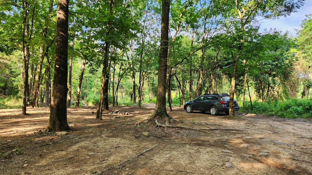 Camper submitted image from Charleston - Bell Roads Dispersed, Brock Creek Lake, Ozark NF, AR - 2