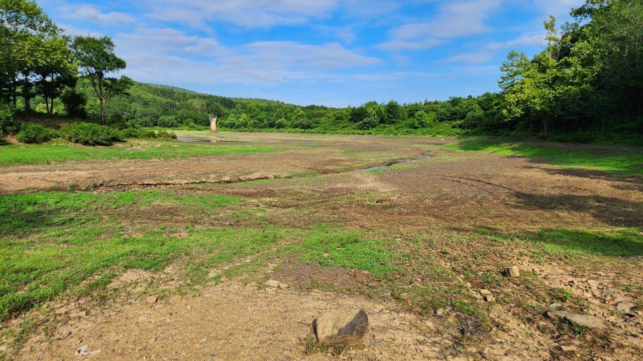 Charleston - Bell Roads Dispersed, Brock Creek Lake, Ozark NF, AR