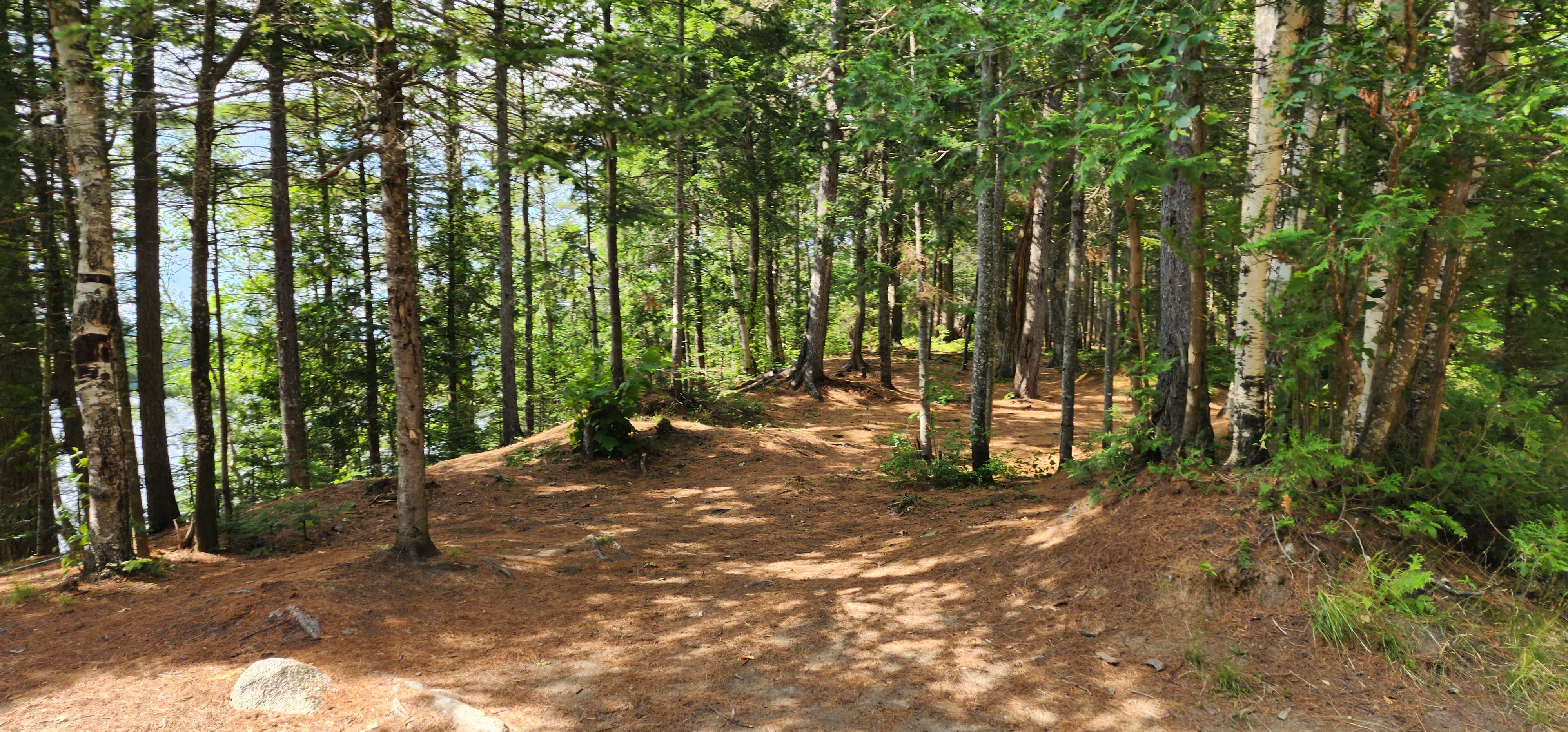 Camper-submitted photo at Chain of Ponds Public Reserved Land near Eustis, ME
