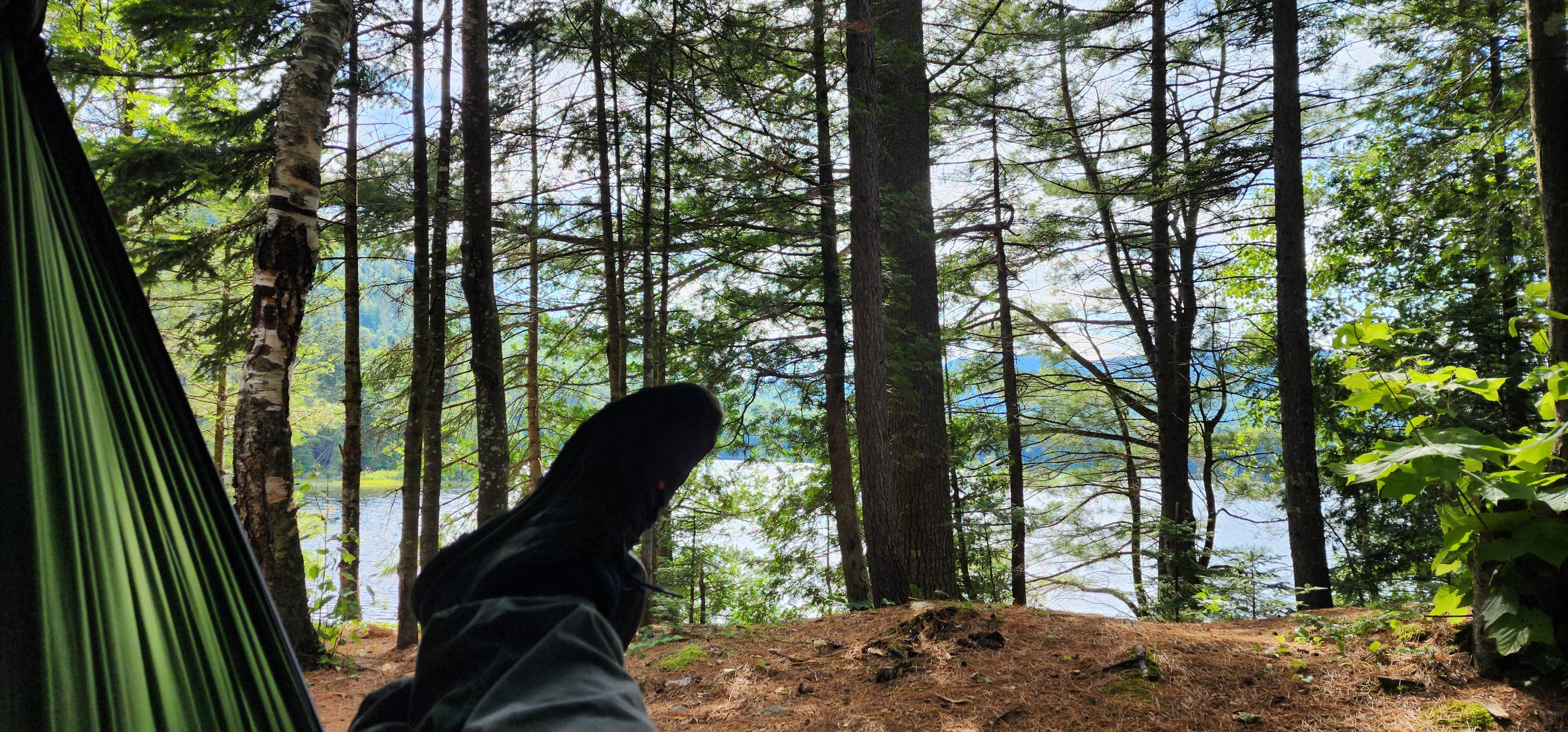 Camper-submitted photo at Chain of Ponds Public Reserved Land near Eustis, ME