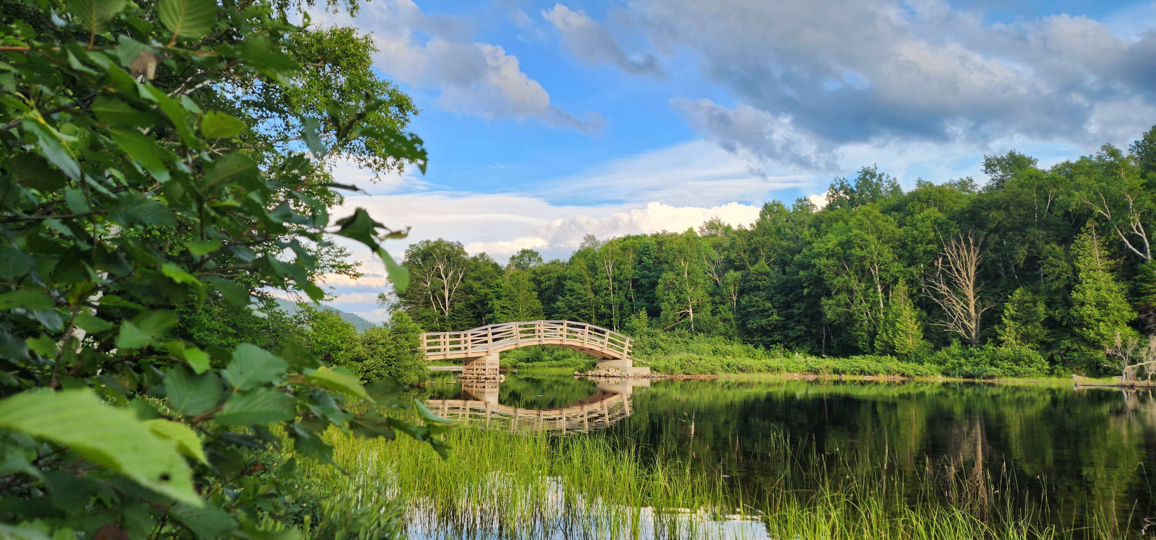 Camper submitted image from Chain of Ponds Public Reserved Land - 3