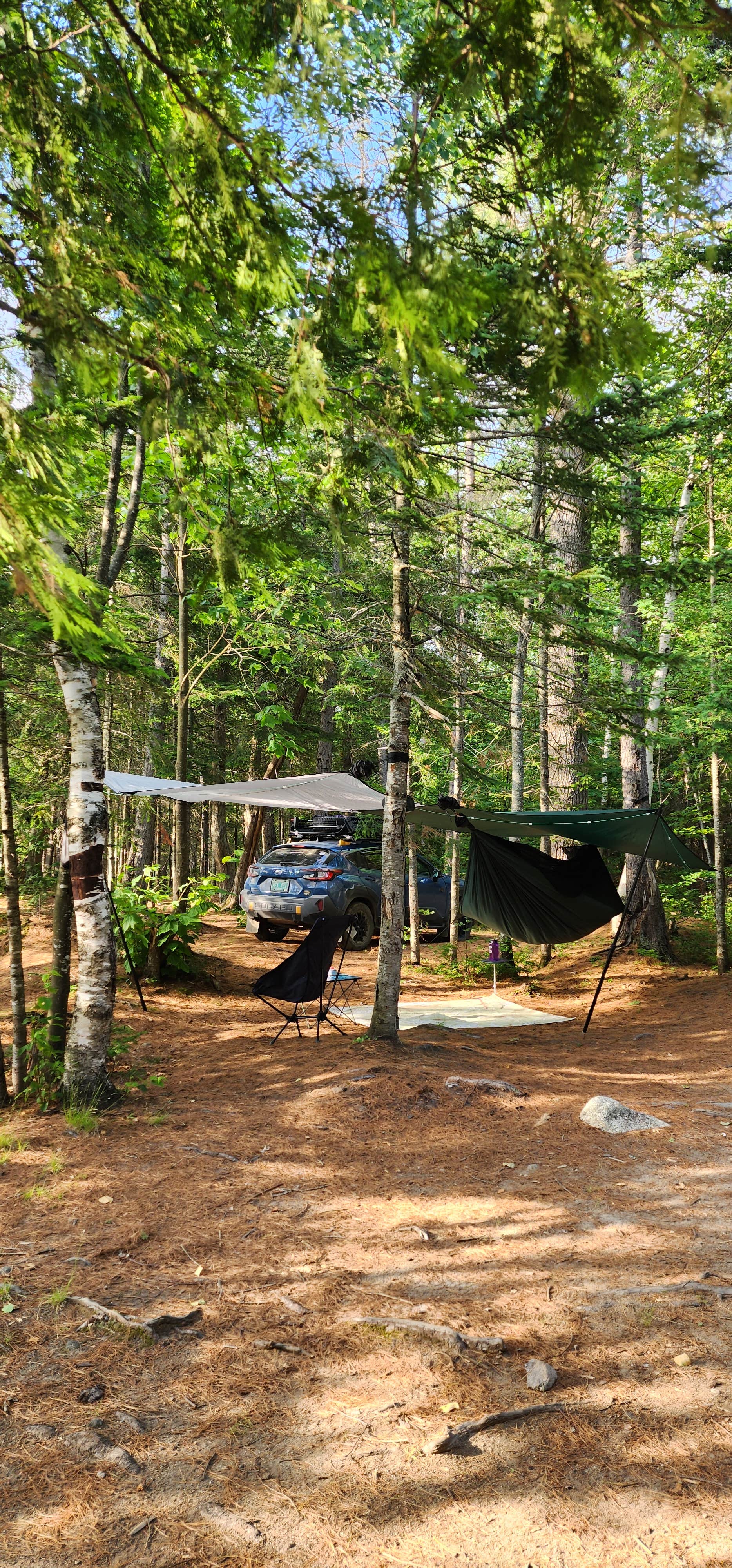 Camping near Portage Site: Chain of Ponds Public Reserved Land, Eustis, Maine