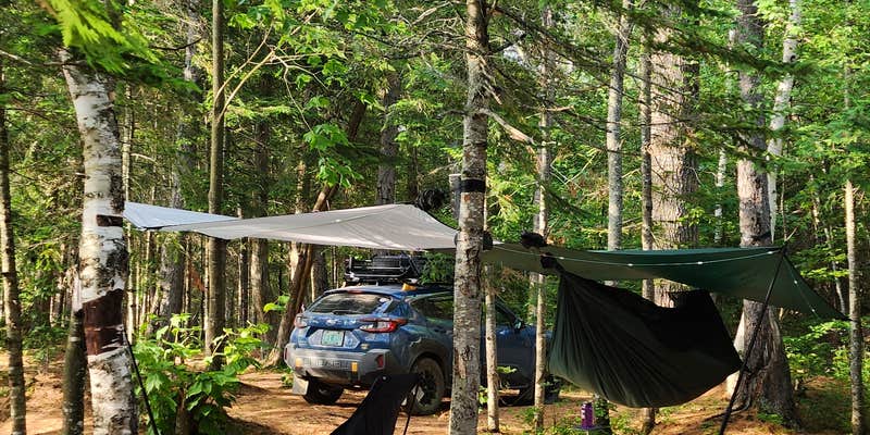 Camper submitted image from Chain of Ponds Public Reserved Land