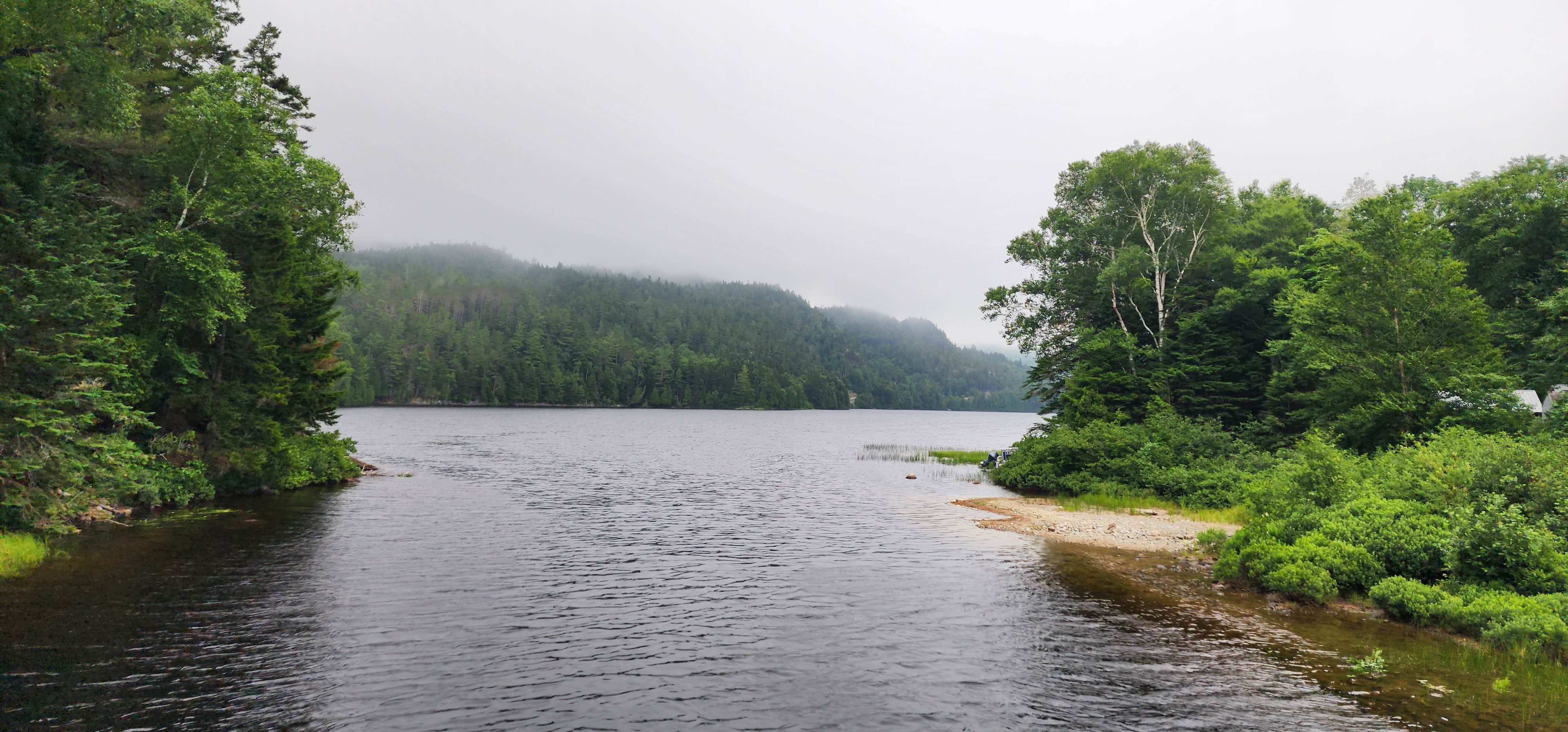 Camper submitted image from Chain of Ponds Public Reserved Land - 2