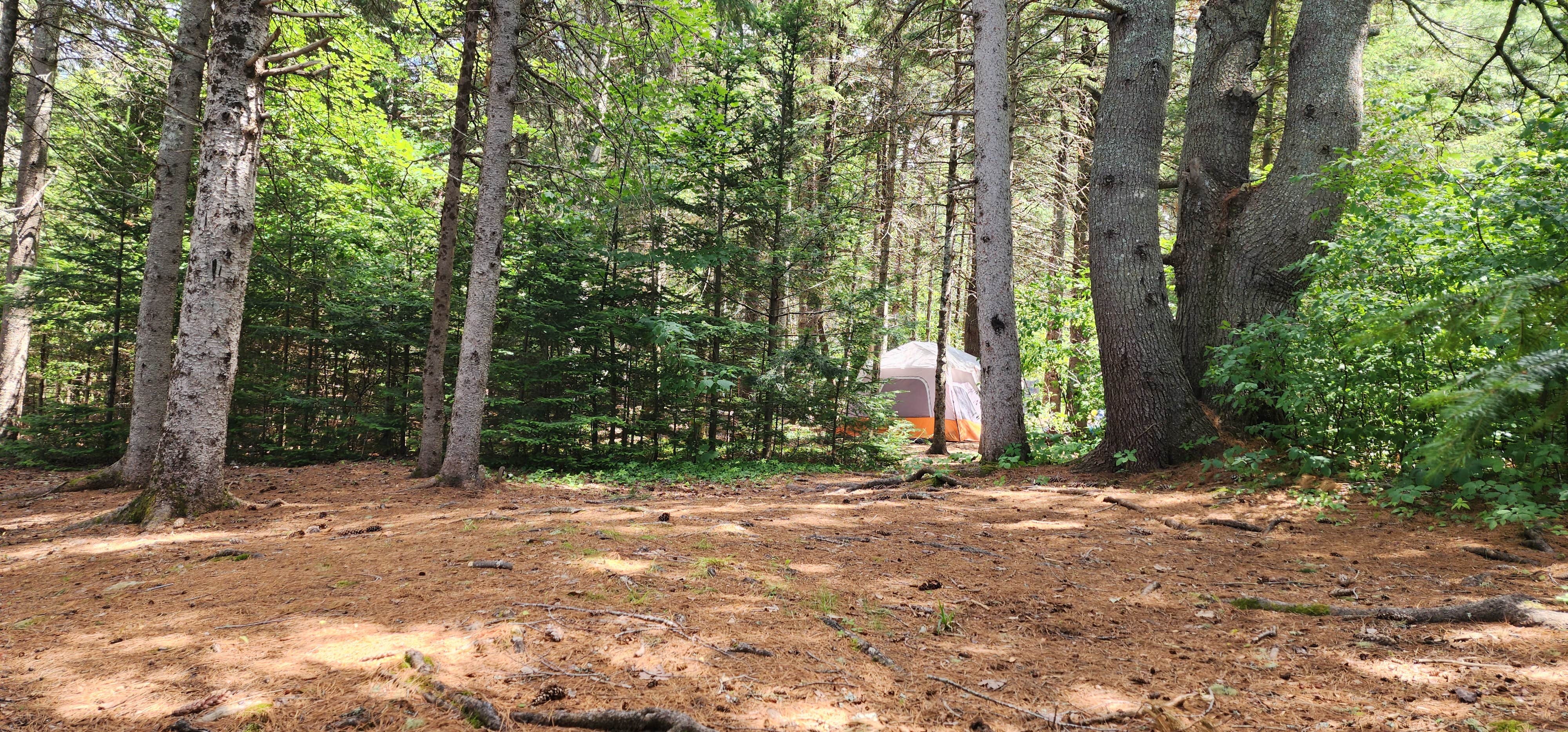 Miccal  M.'s photo of tent camping at Round Barn Campsites near Peru, ME