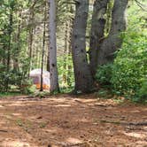 Review photo of Round Barn Campsites by Miccal  M., July 8, 2024