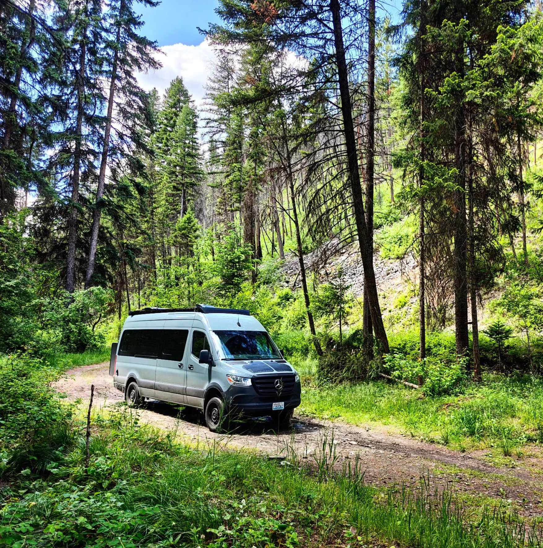 Camper submitted image from South Fork Lolo Creek Primitive Camping - 1