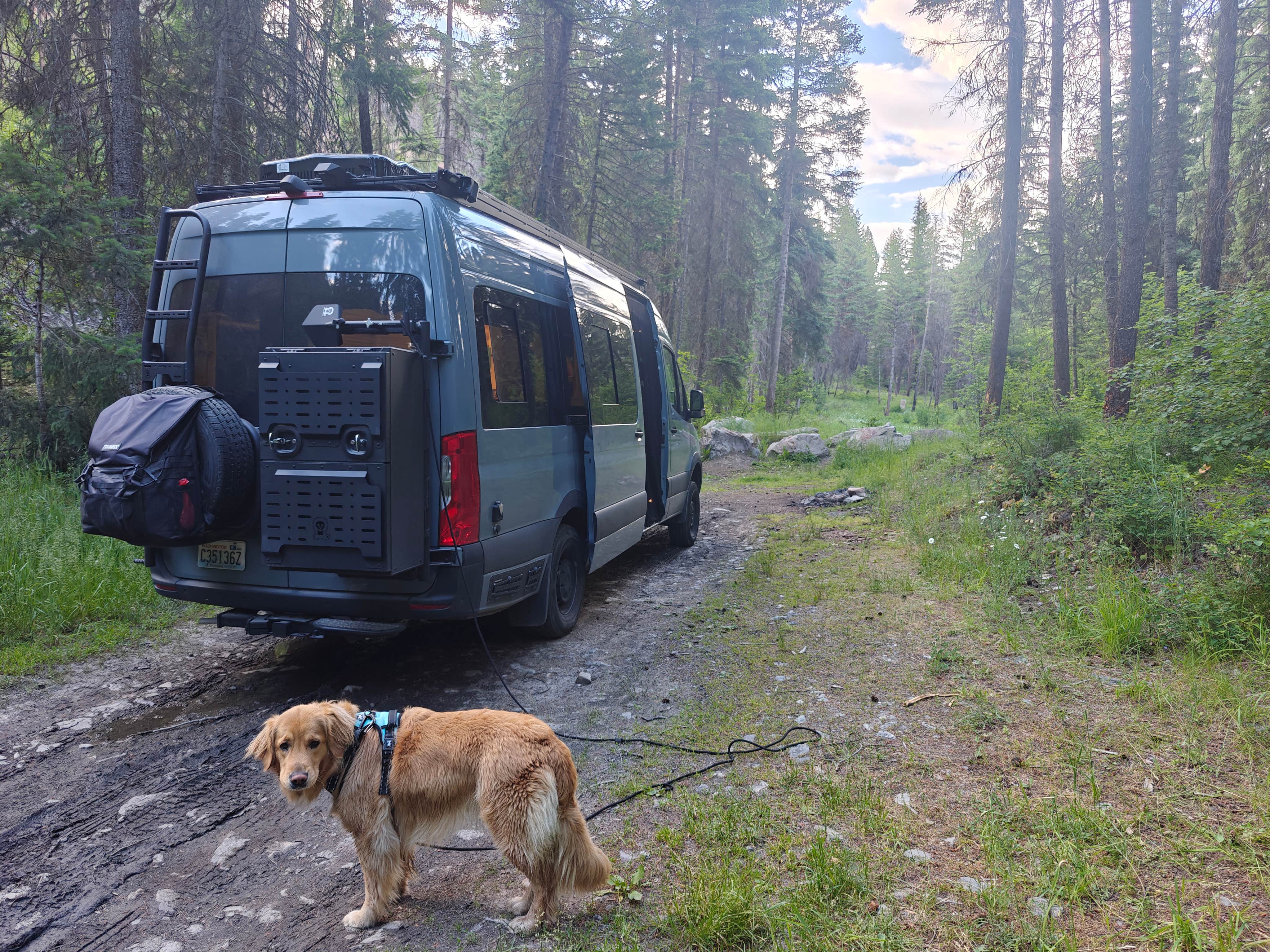 Joshua C.'s photo of camping with pets at South Fork Lolo Creek Primitive Camping near Missoula, MT