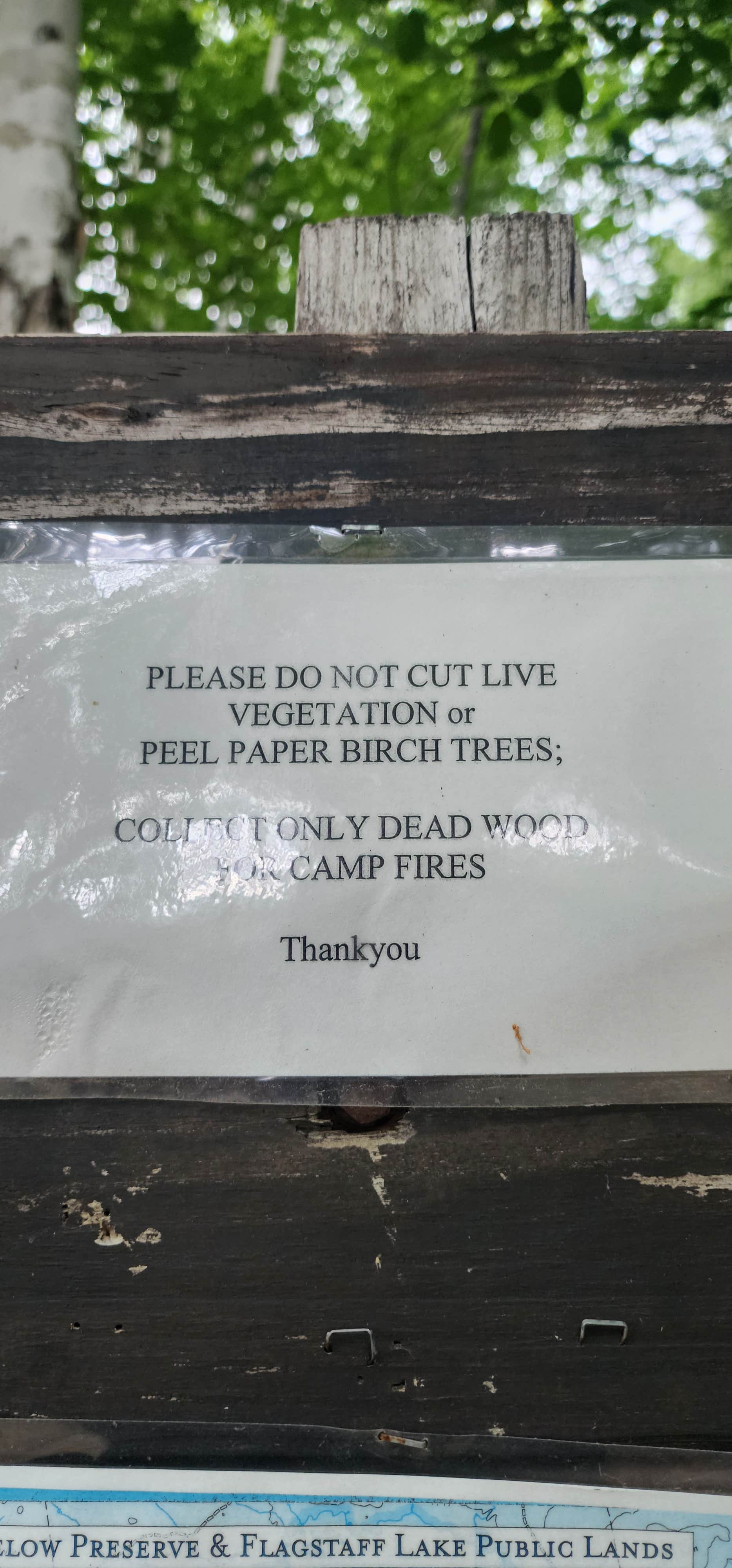 Trout Brook Campground Stratton, ME