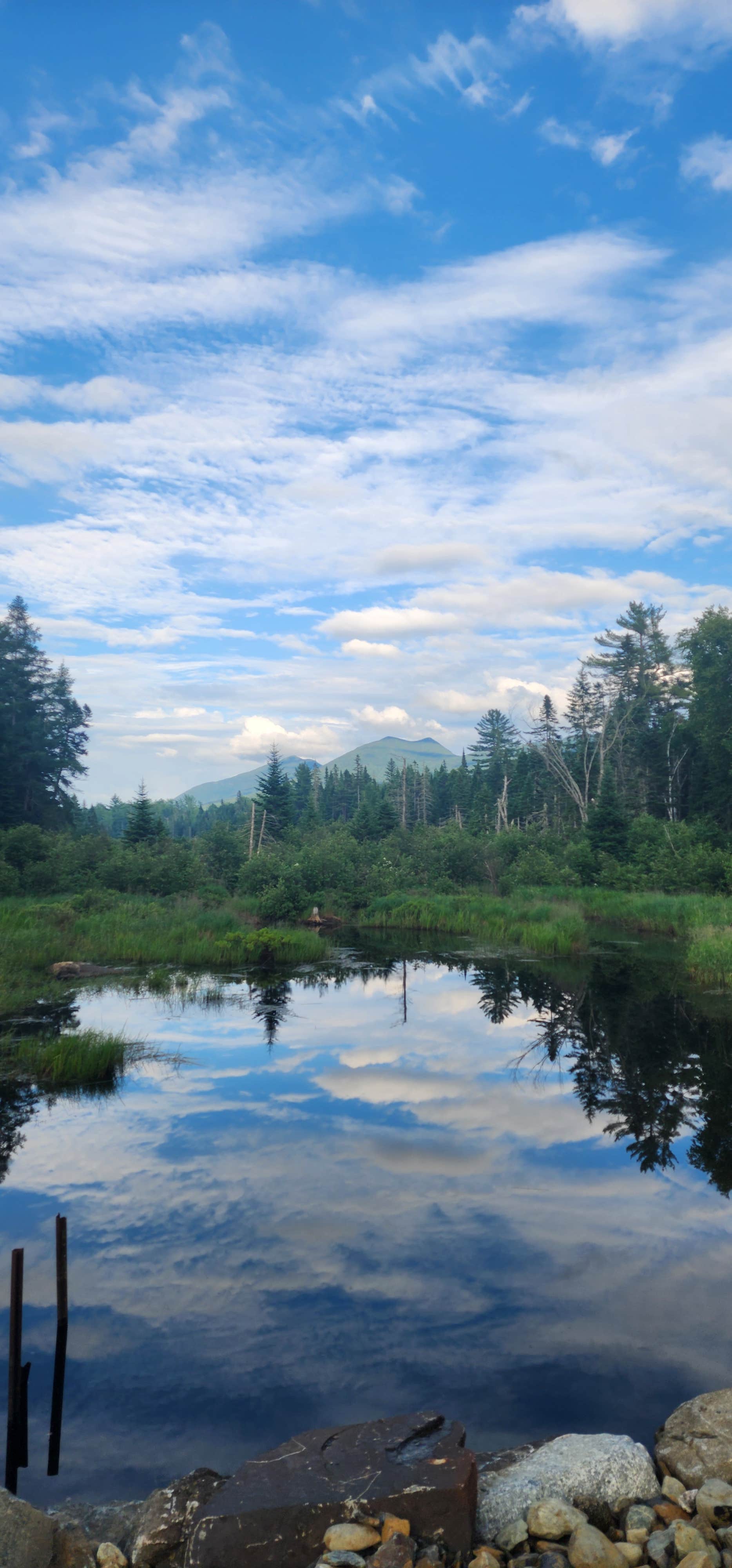 Trout Brook Campground