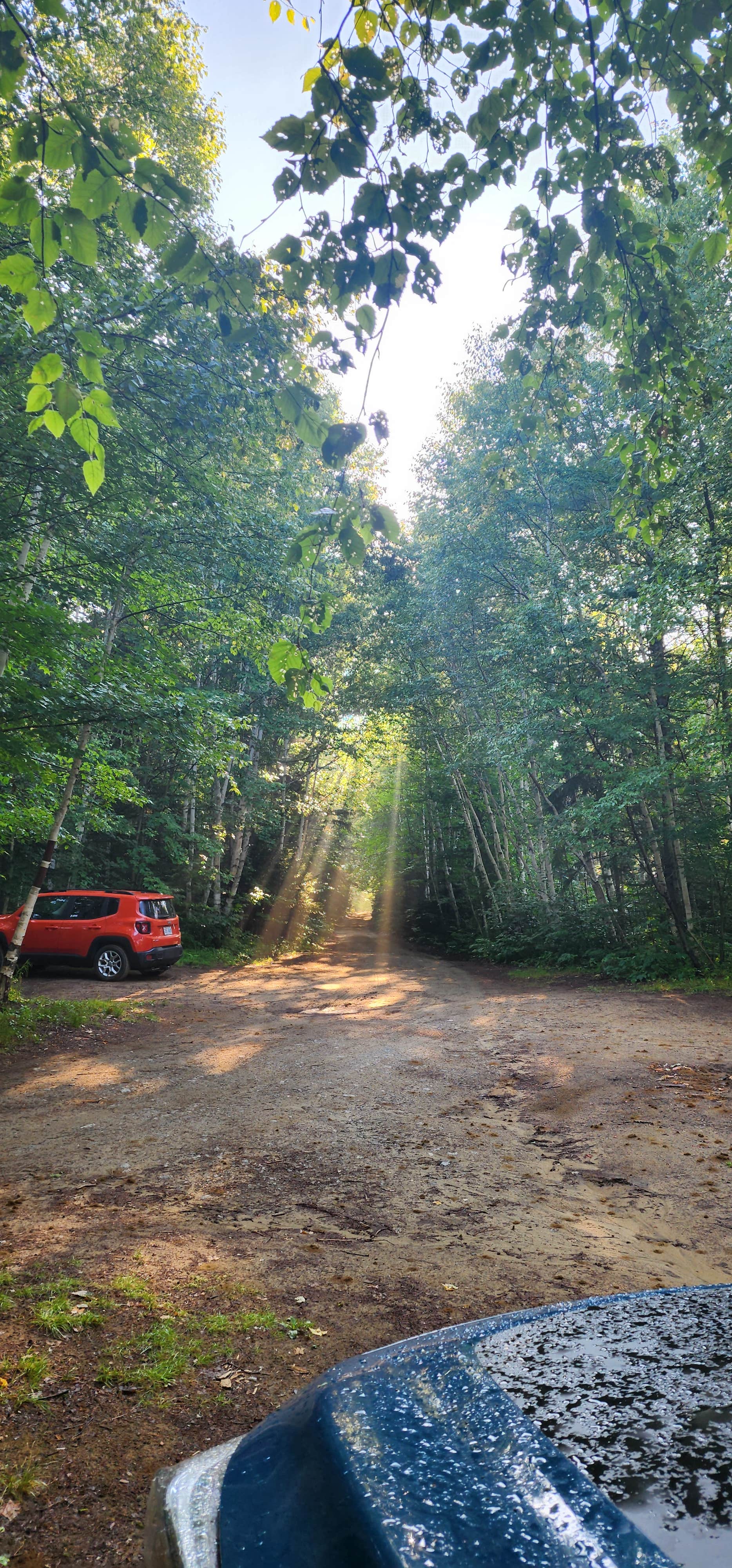 Miccal  M.'s photo of a dispersed camping area at Trout Brook Campground near Abbot, ME