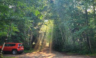 Miccal M.'s photo of a dispersed camping area at Trout Brook Campground near Carrabassett Valley, ME