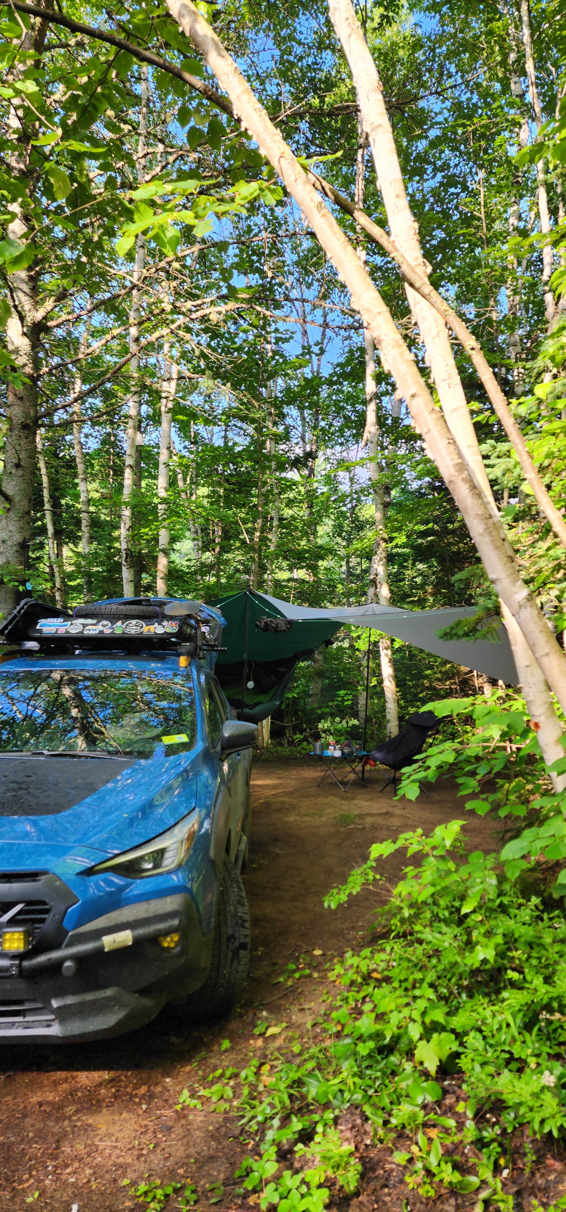 Camper submitted image from Trout Brook Campground - 3