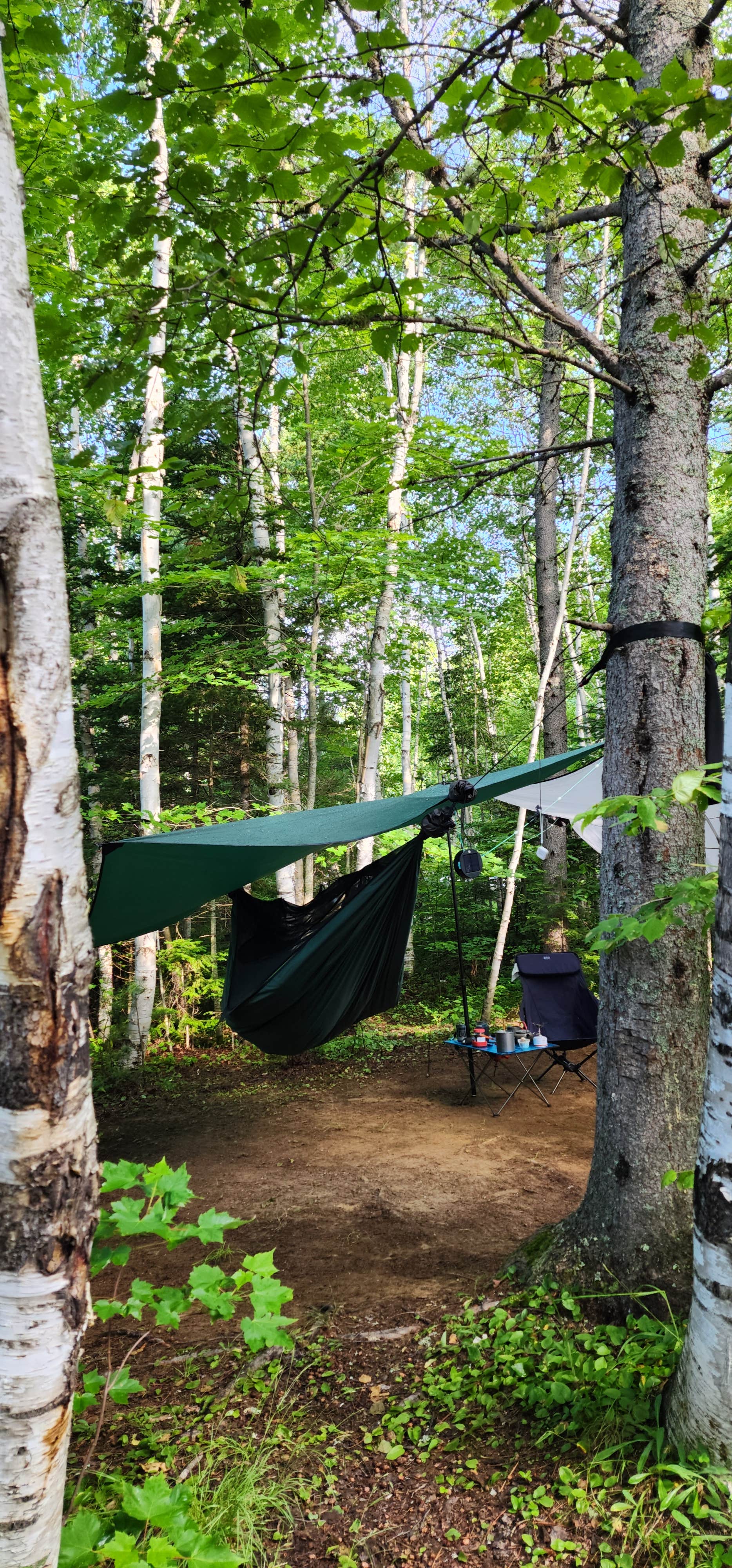 Camper submitted image from Trout Brook Campground - 1