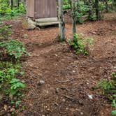 Review photo of Trout Brook Campground by Miccal  M., July 8, 2024