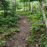 Review photo of Trout Brook Campground by Miccal  M., July 8, 2024