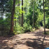 Review photo of Mollidgewock State Park Campground by Miccal  M., July 8, 2024