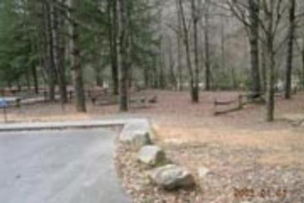 Camper submitted image from Deep Creek Campground — Great Smoky Mountains National Park - 1