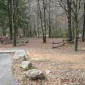 Deep Creek Campground — Great Smoky Mountains National Park