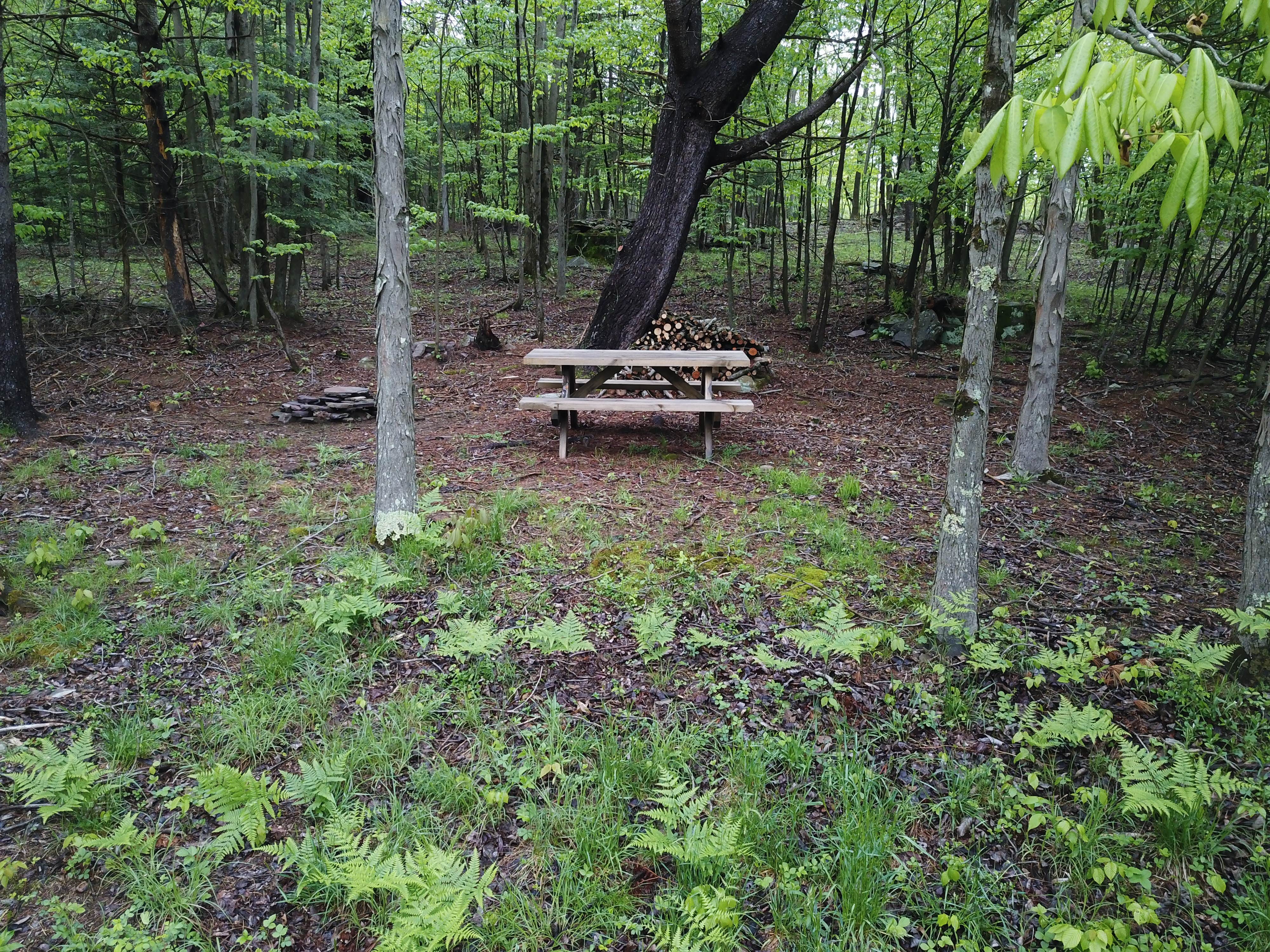 Camper submitted image from Camp Mountain Tent & Tipi - 1