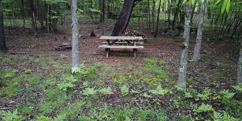 Camper submitted image from Camp Mountain Tent & Tipi