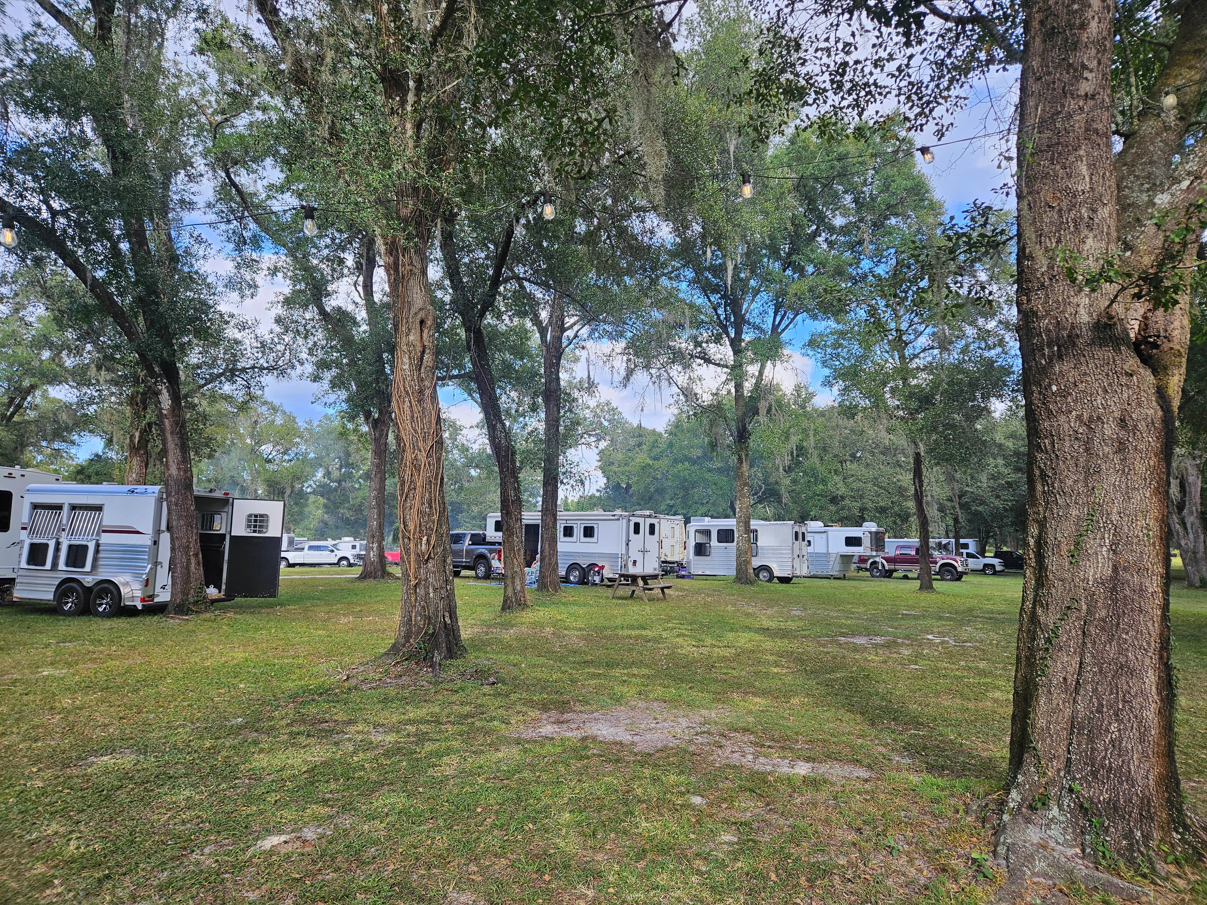 Camper-submitted photo at Ryan Oliver near Goldenrod, FL