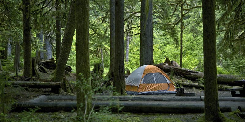 Camper submitted image from Channel Manager Sample