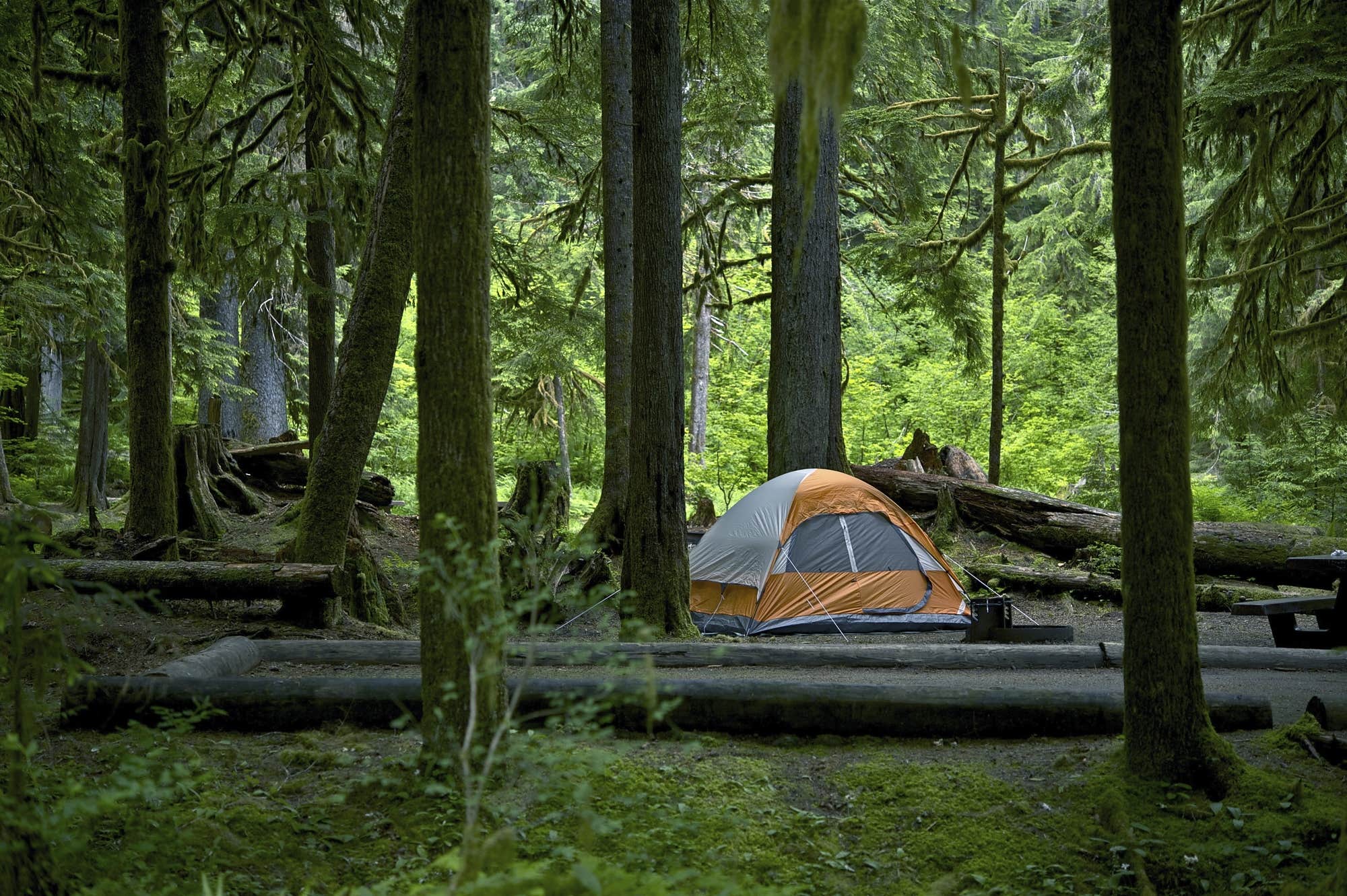 The Dyrt's photo at Channel Manager Sample near Highland, UT
