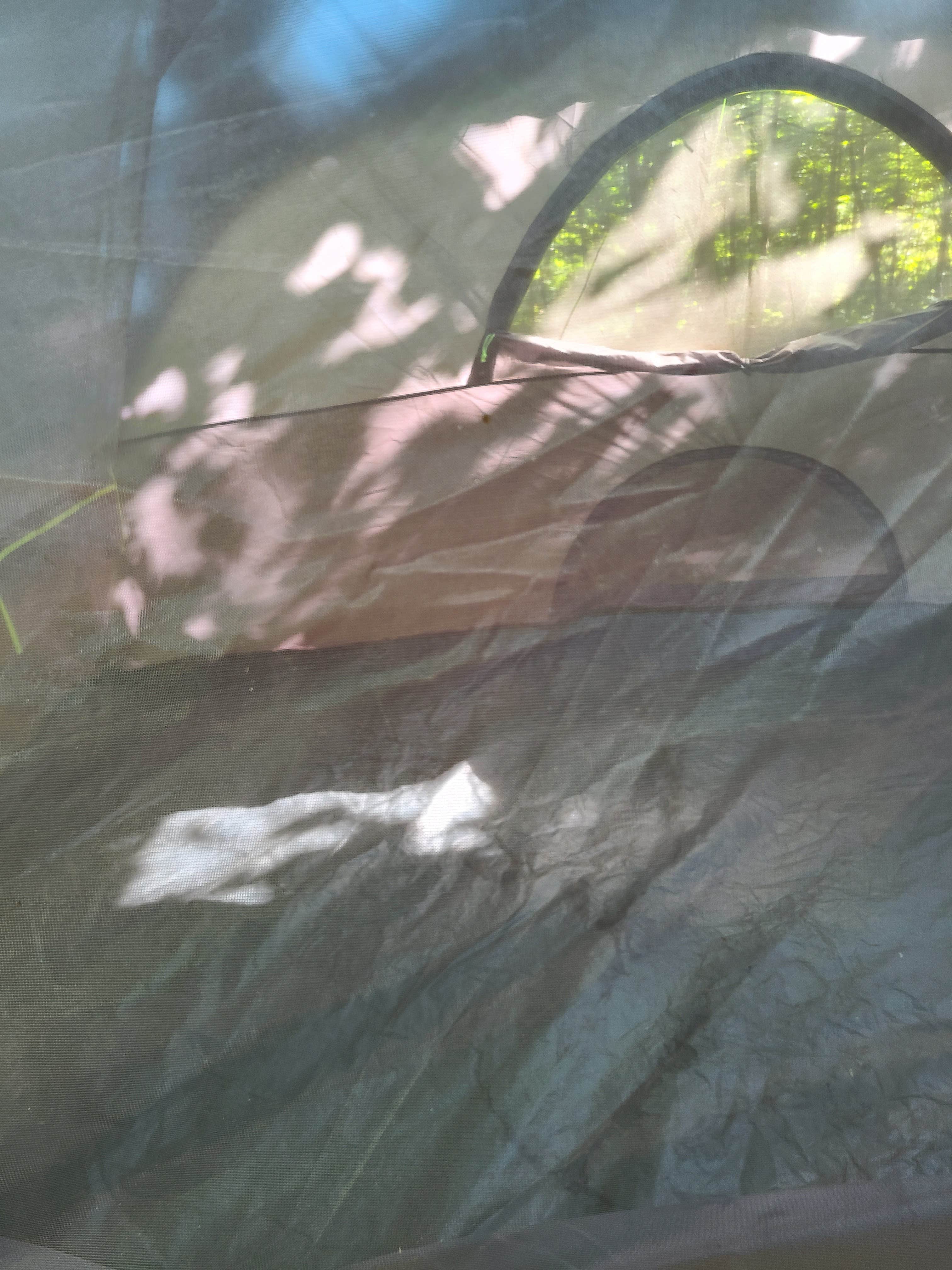 Susan D.'s photo at Hummingbird Hollow Outdoors Farm Sanctuary near Wappapello Lake