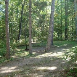 Public Campgrounds: Cass Lake Loop