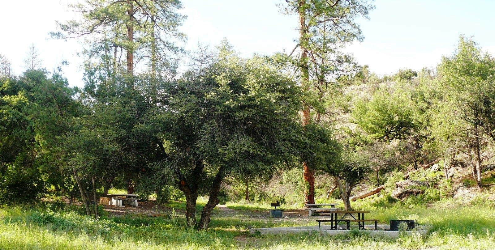 Camper submitted image from Lower Scorpion Campground - 1