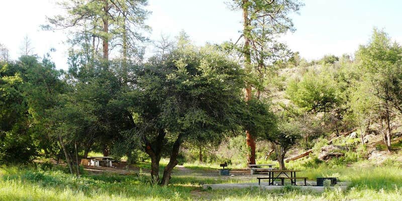 Camper submitted image from Lower Scorpion Campground