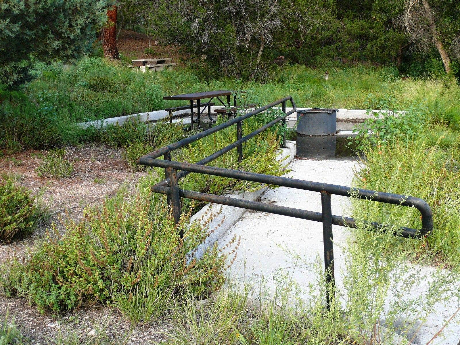Camping near Gila Hot Springs Ranch: Upper Scorpion Campground, Gila, New Mexico