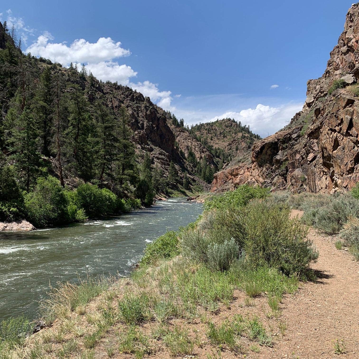 Camper submitted image from Curecanti National Recreation Area Gateview Campground - 1
