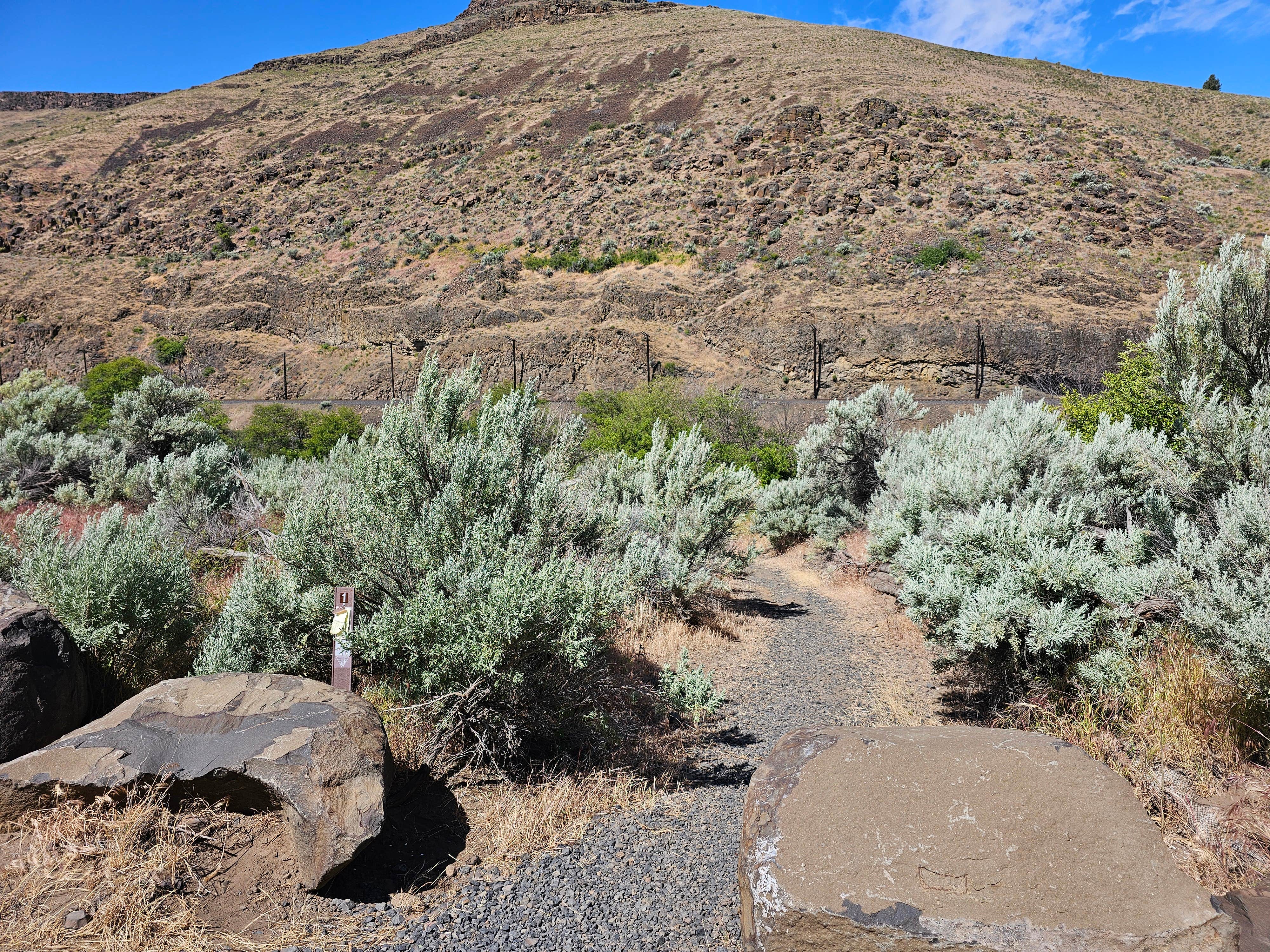 Camper-submitted photo at Devil's Canyon Campground — Lower Deschutes Wild And Scenic River near Condon, OR
