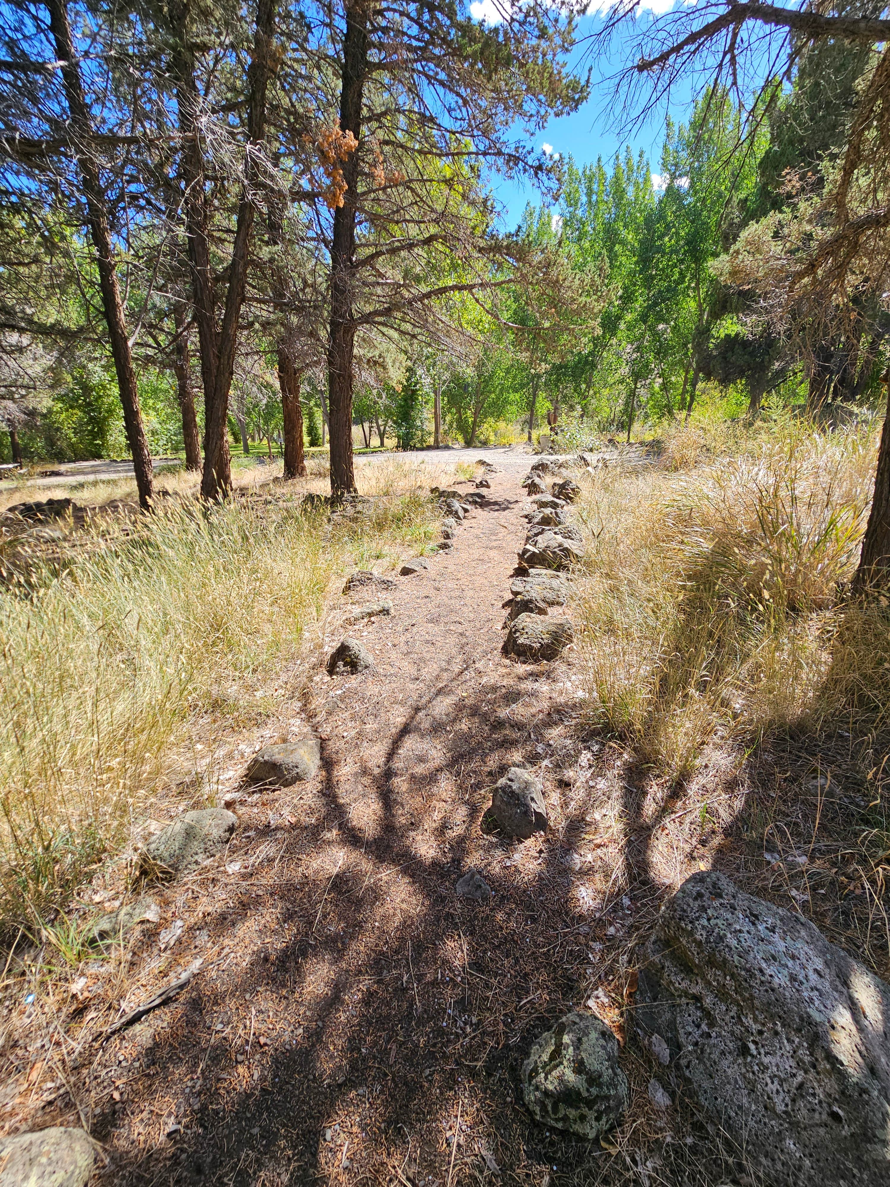 Chukar Park Campground
