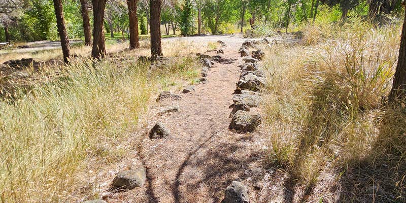 Camper submitted image from Chukar Park Campground