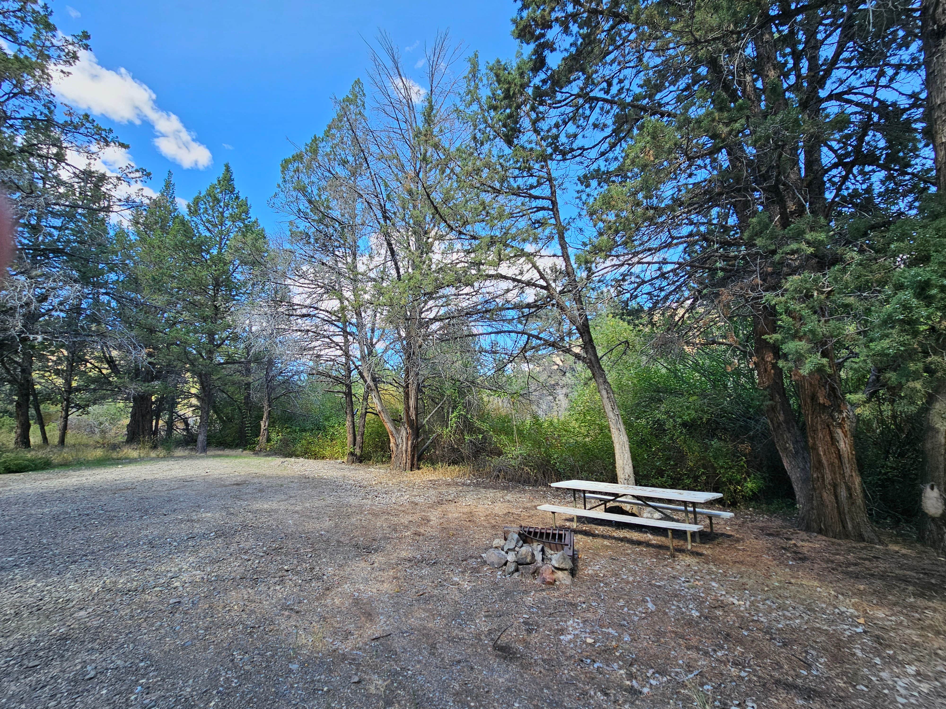 Camper submitted image from Chukar Park Campground - 5