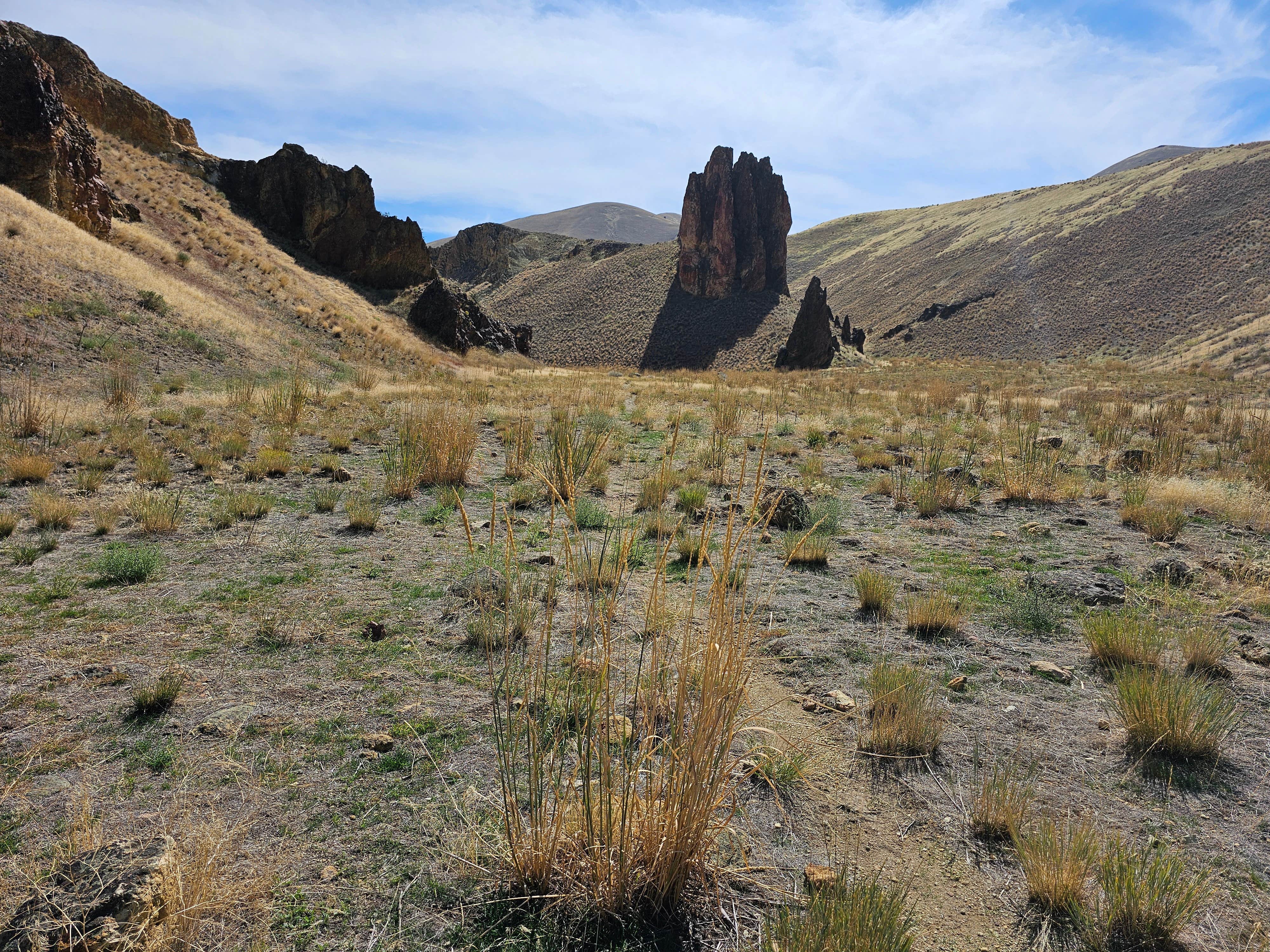 Camper submitted image from Slocum Creek (Leslie Gulch) Campground - 1